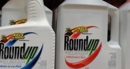 roundup