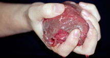 fleisch01