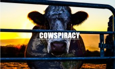 COWSPIRACY